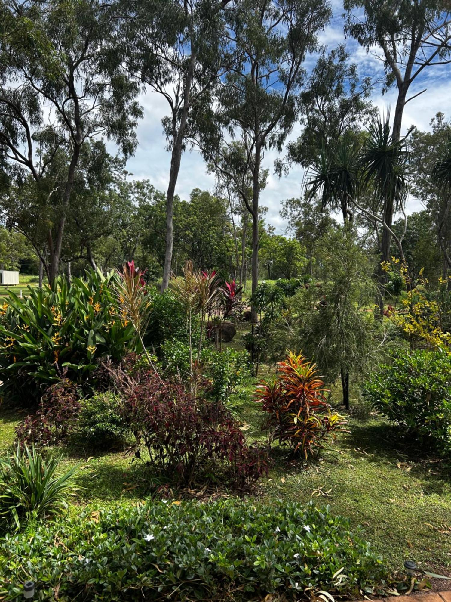 Litchfield Tropical Stay Batchelor Eksteriør bilde