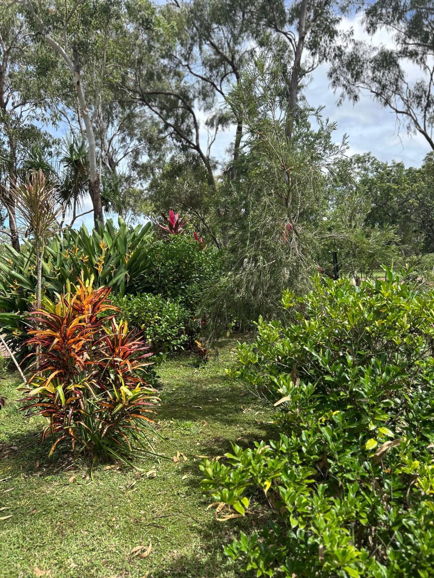 Litchfield Tropical Stay Batchelor Eksteriør bilde